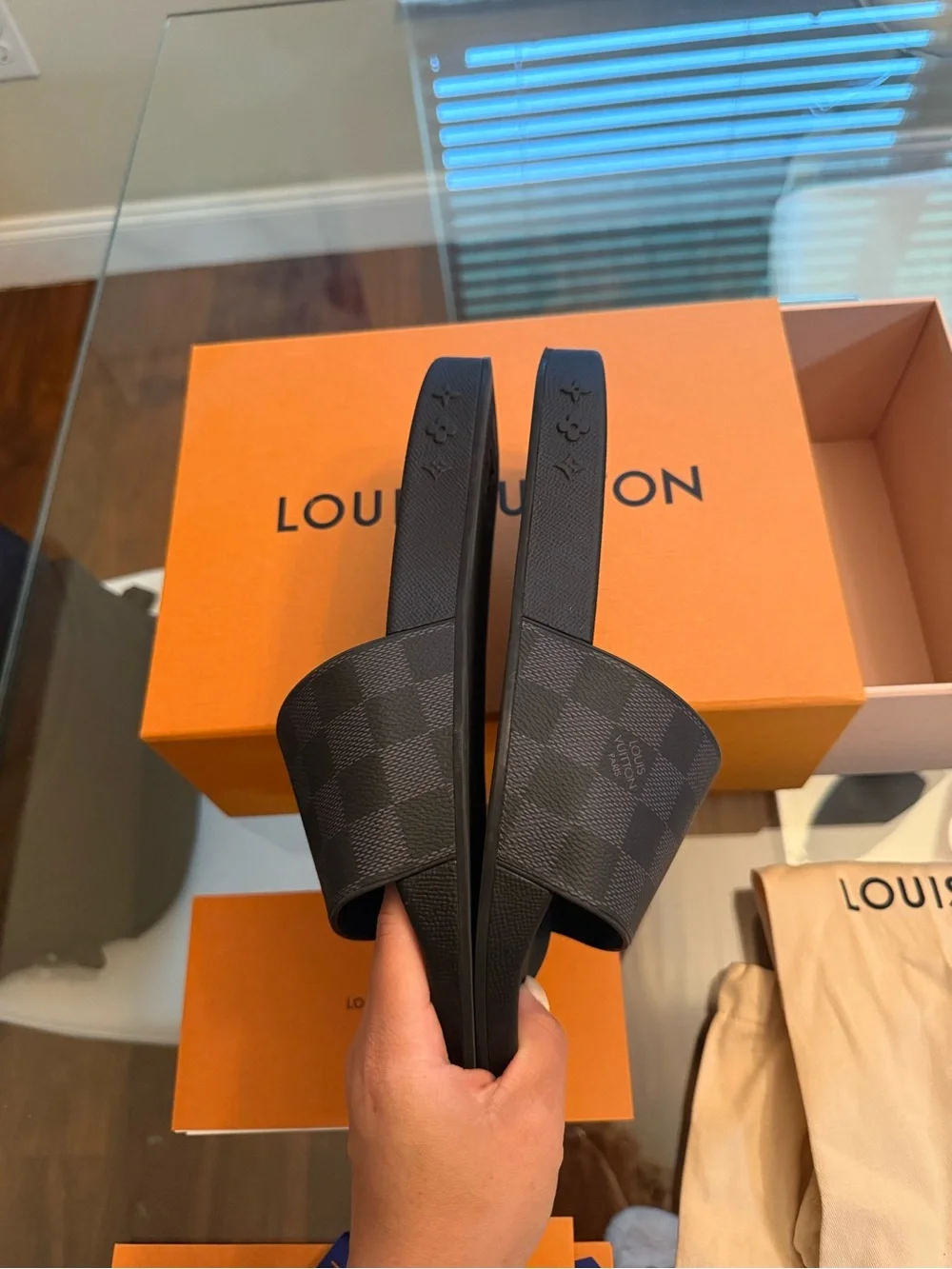 Louis Vuitton Waterfront Mule Damier Graphite Men’s LV Size 8 / US 9